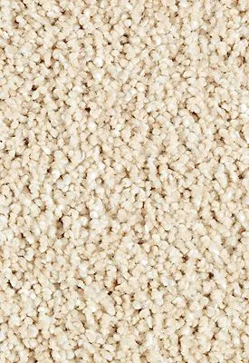 carpet-img