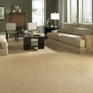 Textured Carpet | Florida Floor Fashions