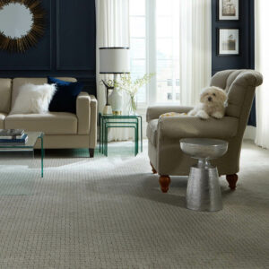 Inspired Carpet | Florida Floor Fashions