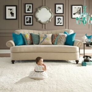 Plush Carpet | Florida Floor Fashions