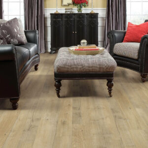 Traditional Laminate | Florida Floor Fashions