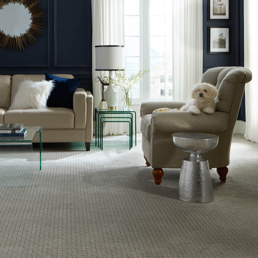 Light gray carpet in bright sitting area with armchairs