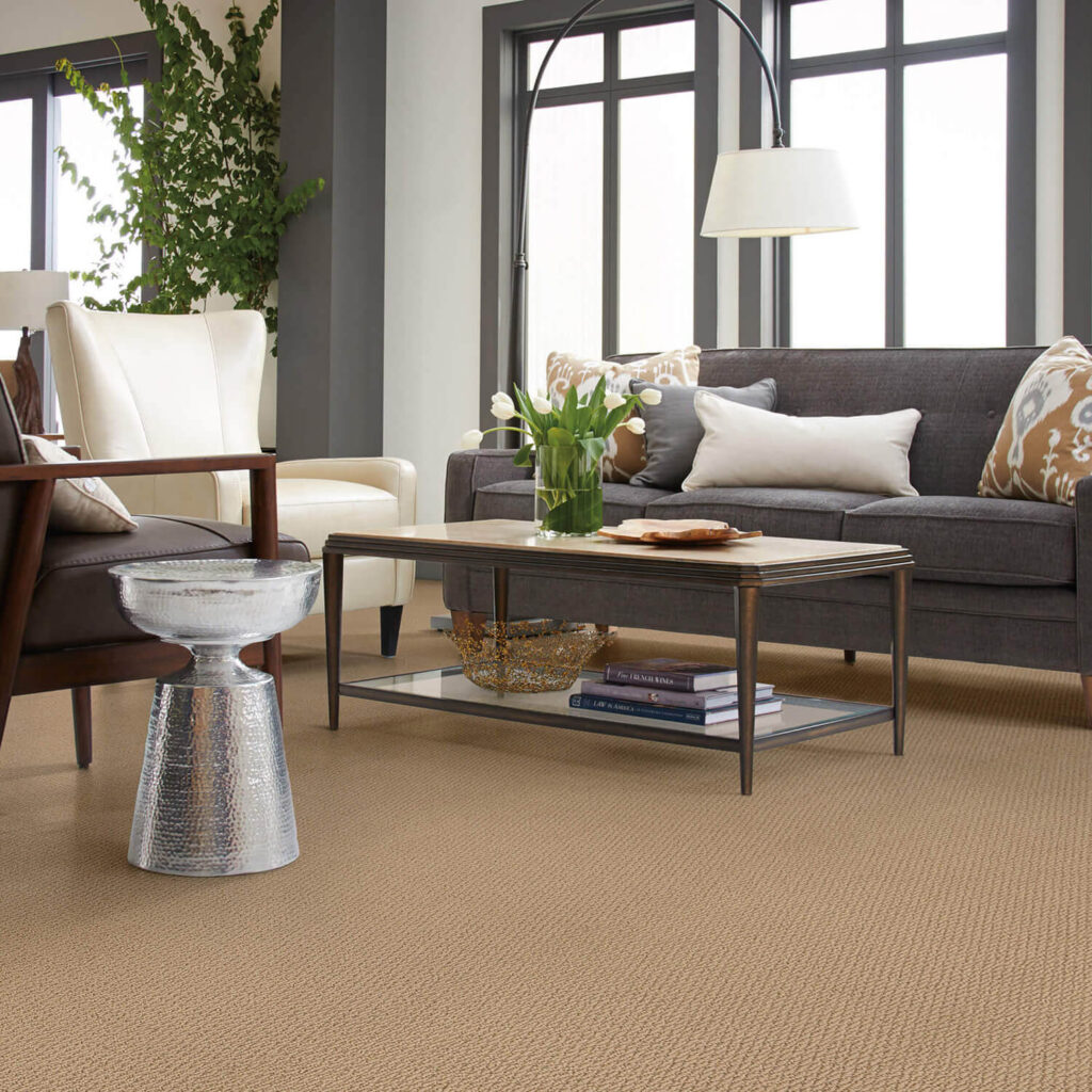 Tan carpet in contemporary living room with plants